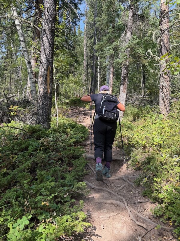 PlanetSKI's Autumn Alberta road trip. Image © PlanetSKI